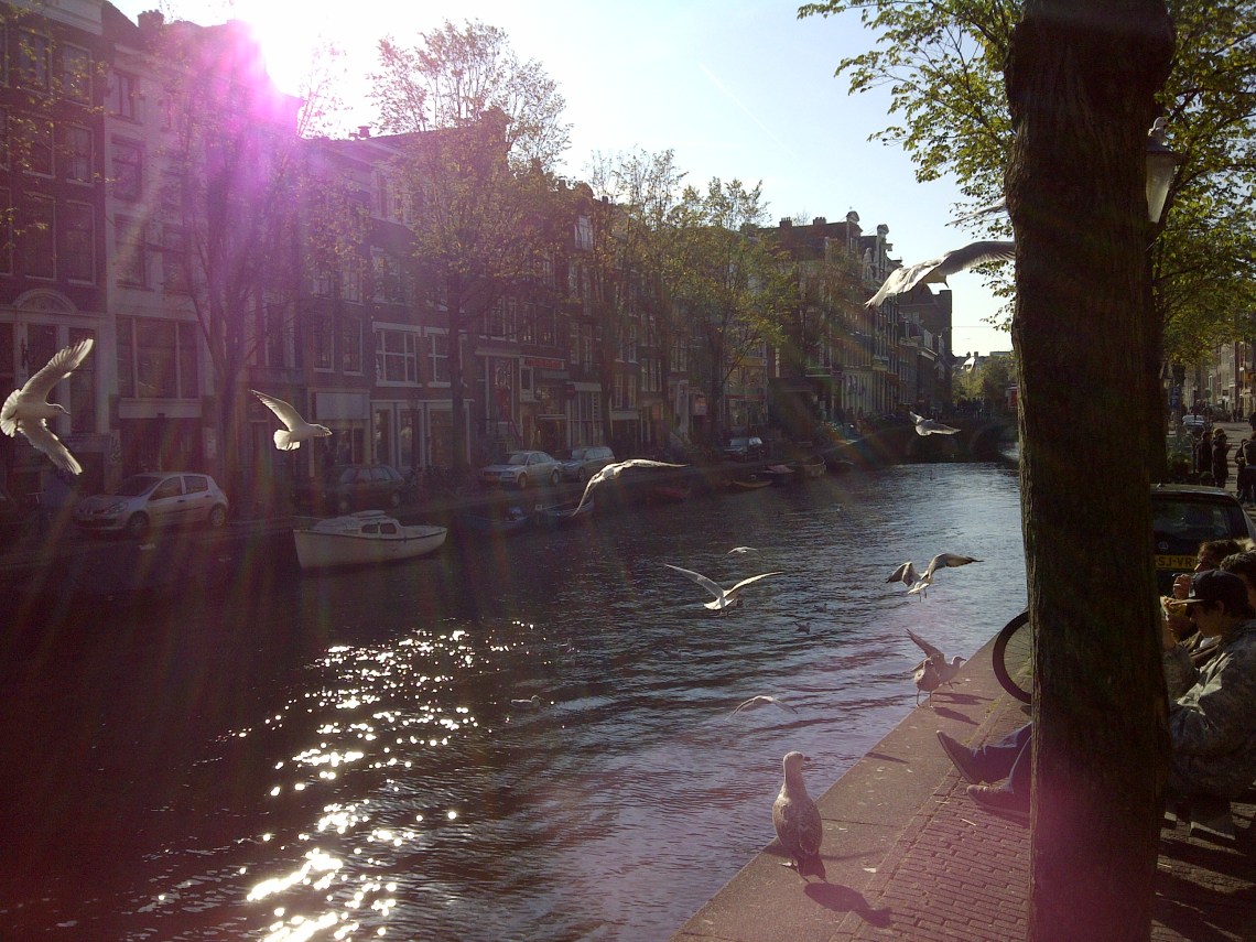 explore-a-nearby-town