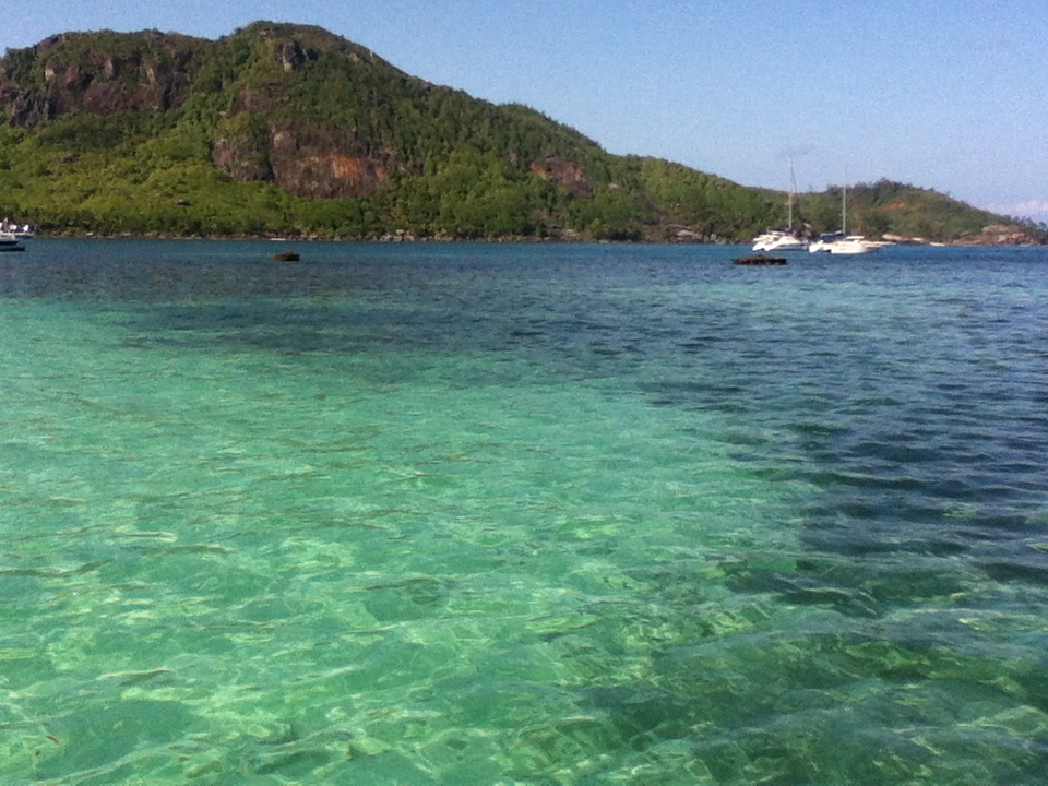 14 Best Dive Spots in The Seychelles LIFE OF SHAL