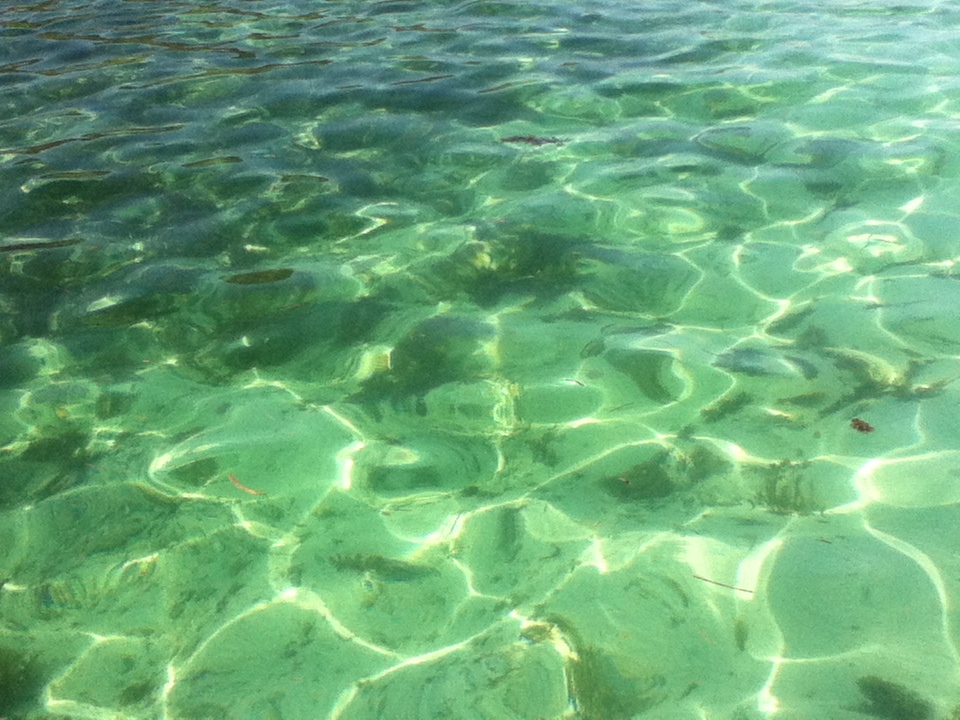 life-of-shal-exploring-the-seychelles-12