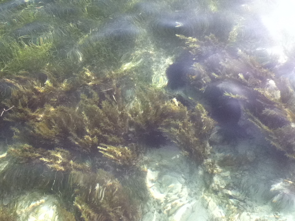 life-of-shal-exploring-the-seychelles-20