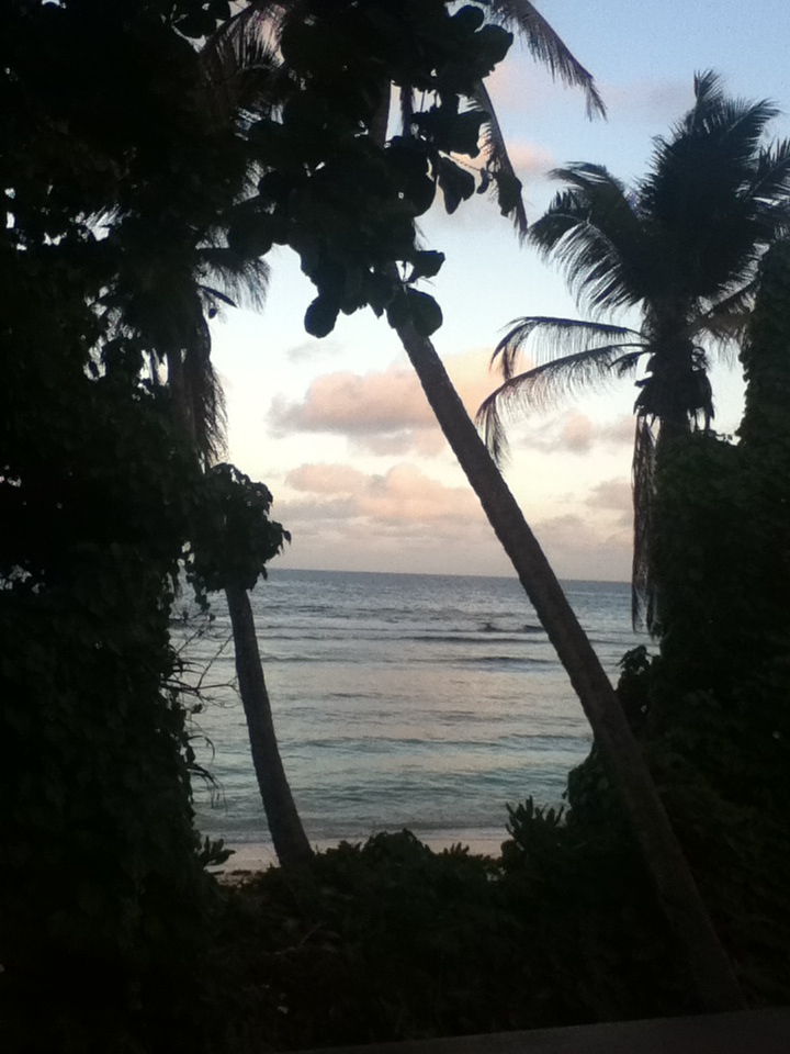 life-of-shal-exploring-the-seychelles-9