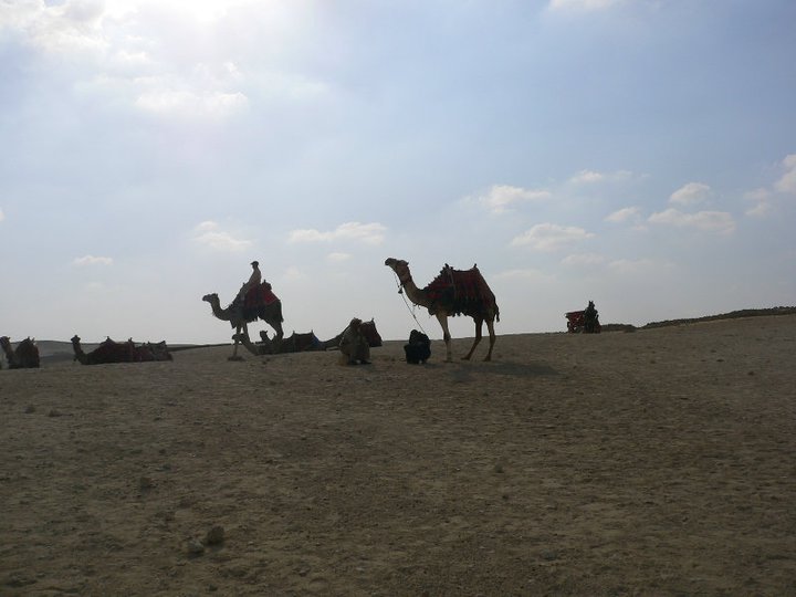 163245_1775573710105_6859667_n