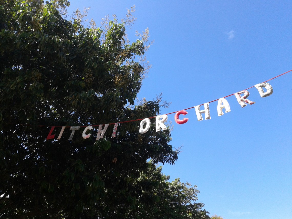 litchi-orchard-farmers-markets-and-night-markets