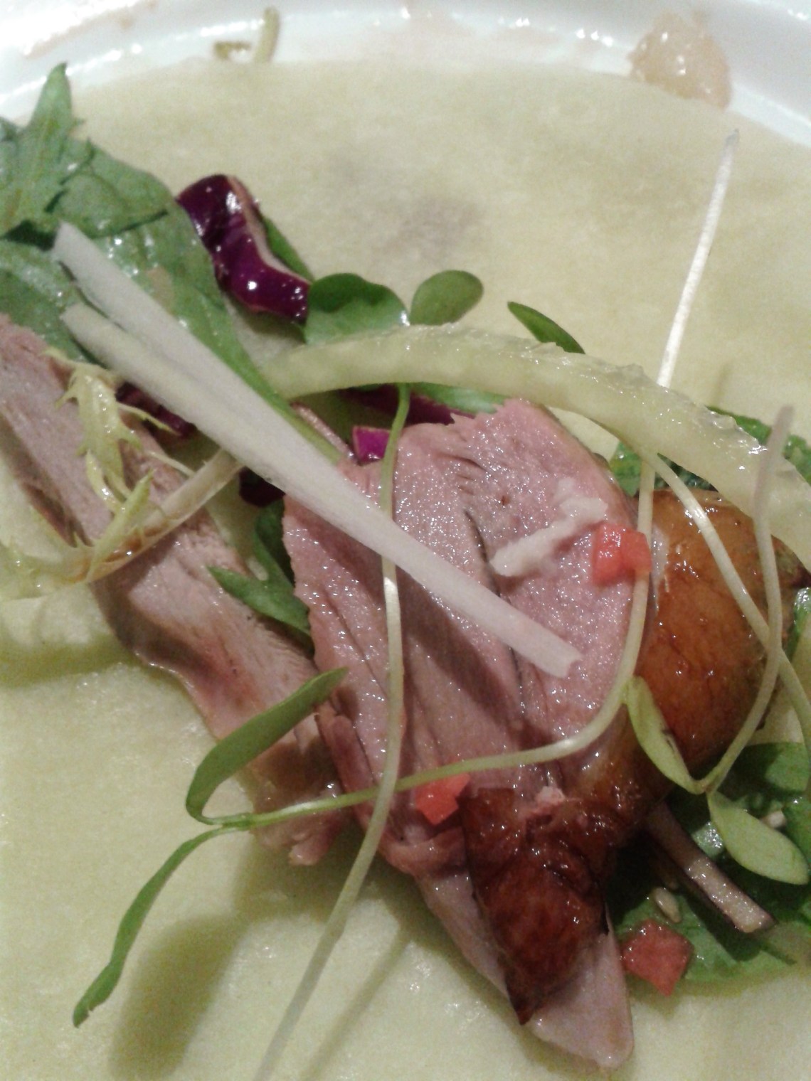 Life of Shal_Tasting Peking Duck_how to eat it 3