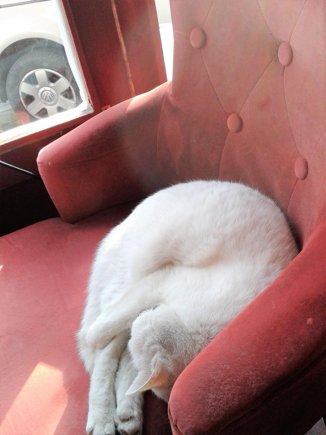 Life of Shal_Cafe Confucius_4