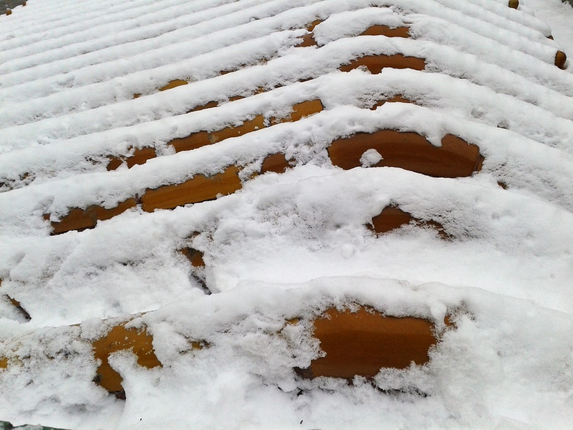 Life of Shal_Snow at the Forbidden City_13