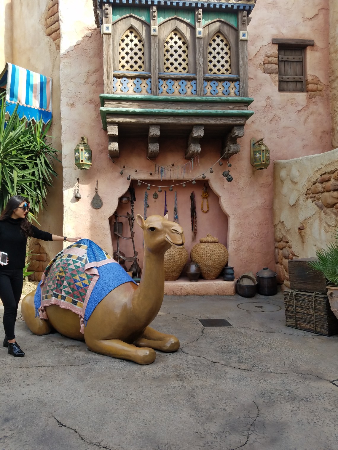 life_of_shal_tokyo_disneysea_19