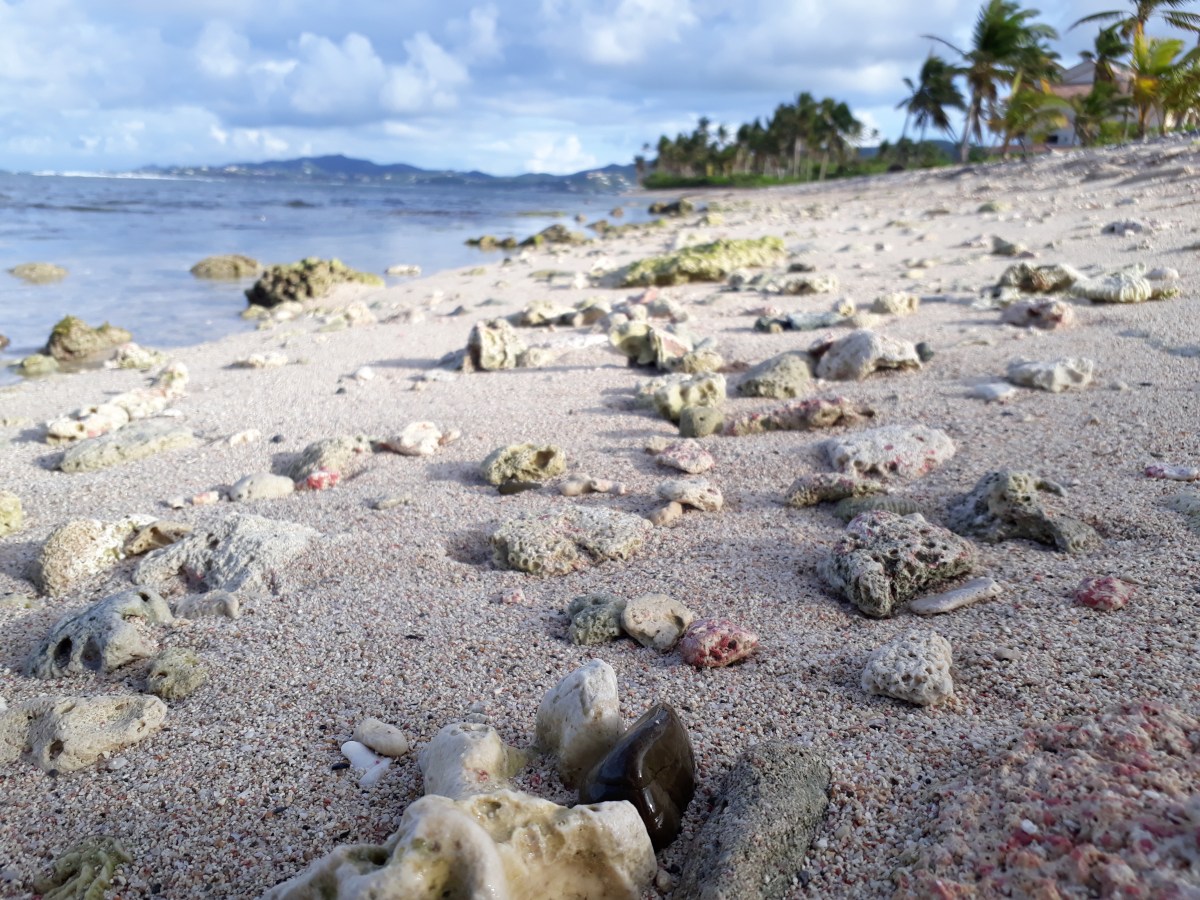 10 magical things you will find on a beach in the Virgin&nbsp;Islands